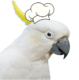 Hungry Cockatoo